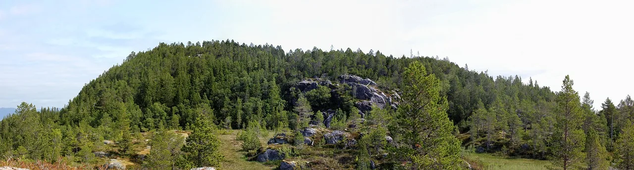 Forsidebilde for Bymarkas sju på én dag